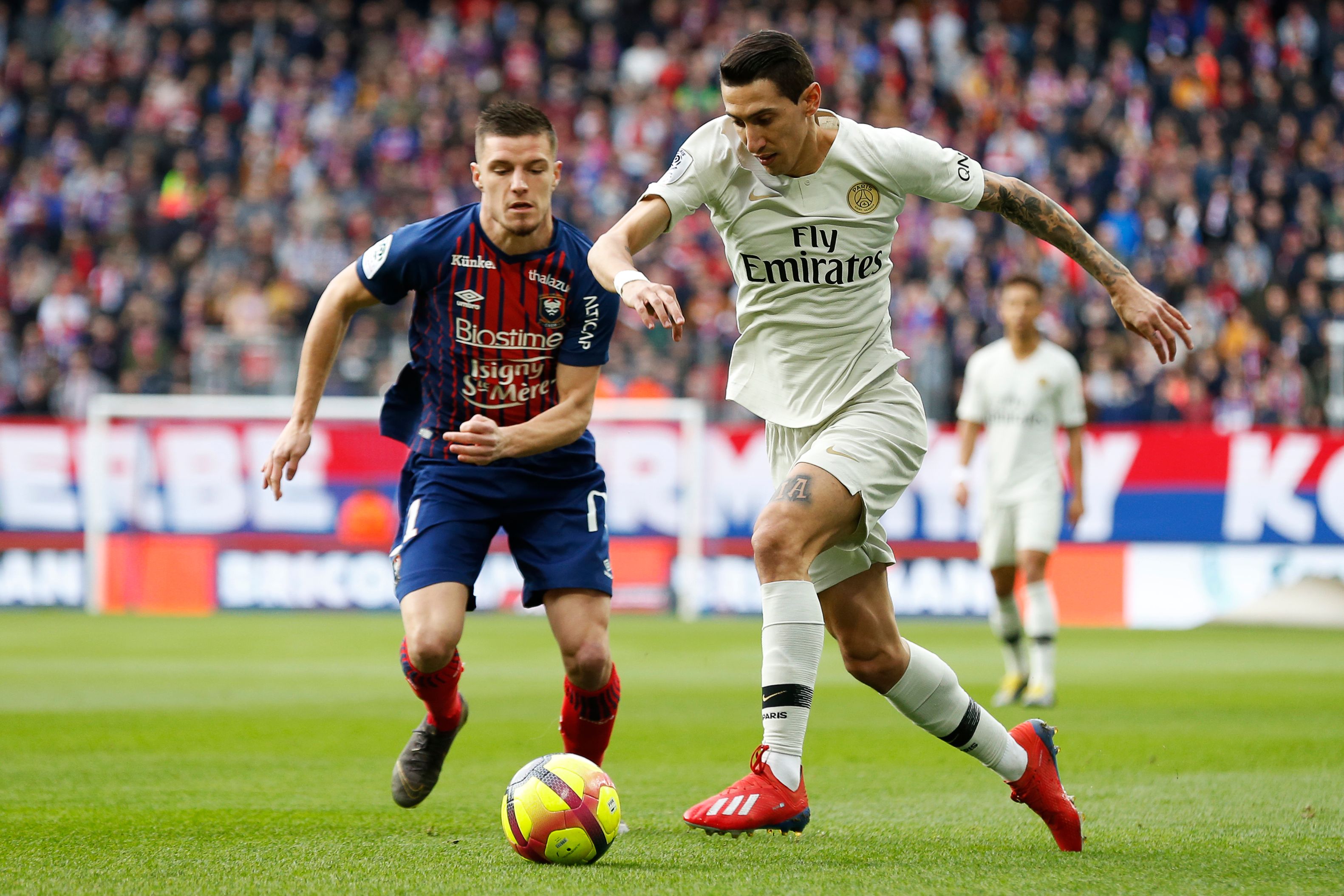 F1世界冠军诺里斯选择1号作为2026赛季车号