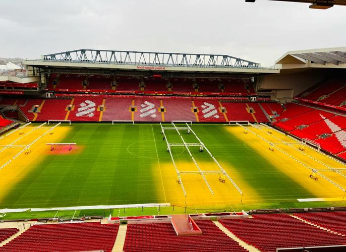 你希望你的俱乐部在英女超一月份的转会窗口签下哪位球员？