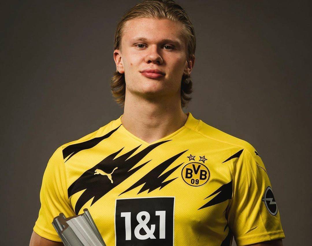 追梦：尼克·杨是勇士当年夺冠征程中的重要功臣